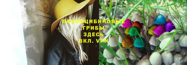 стаф Саяногорск