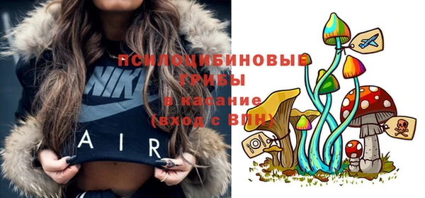 шишки Сатка