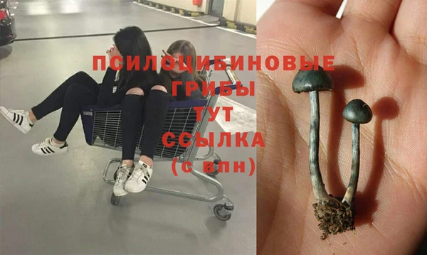 каннабис Верхний Тагил