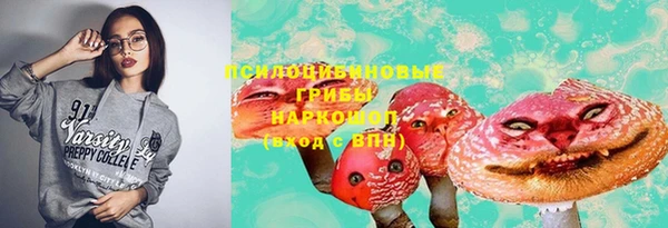 амф Володарск